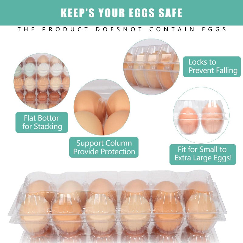 SINLUCESCE 60 Packs 12 Count Clear Egg Cartons, 2 * 6 Grids Design, Perfect for Family, Farm, Markets, Display(Large) - Image 4
