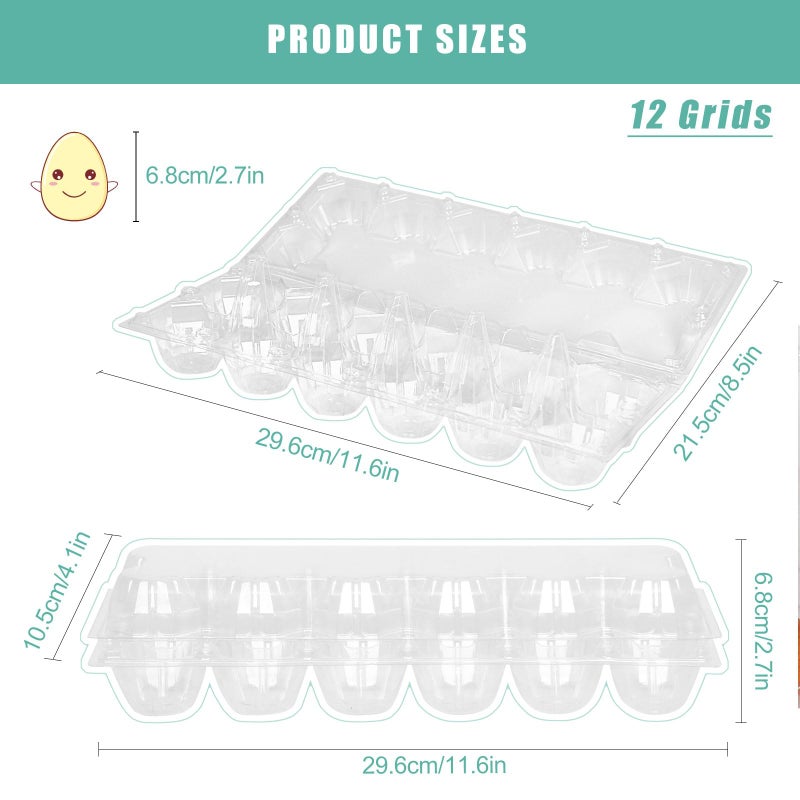 SINLUCESCE 60 Packs 12 Count Clear Egg Cartons, 2 * 6 Grids Design, Perfect for Family, Farm, Markets, Display(Large) - Image 3