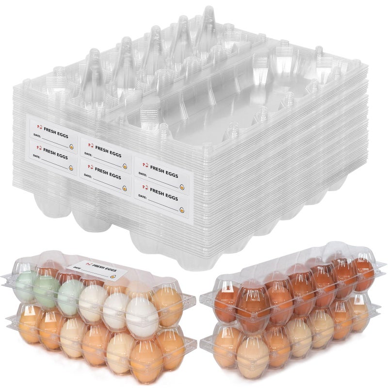 SINLUCESCE 60 Packs 12 Count Clear Egg Cartons, 2 * 6 Grids Design, Perfect for Family, Farm, Markets, Display(Large) - Image 1