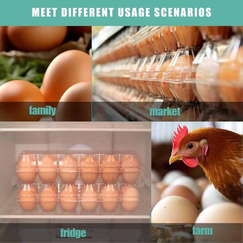 SINLUCESCE 60 Packs 12 Count Clear Egg Cartons, 2 * 6 Grids Design, Perfect for Family, Farm, Markets, Display(Large) - Image 5