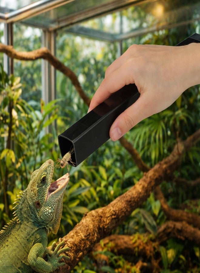 Mifoci Large Cricket Keeper Equipped with Water and Food Feeding Dish, High Transparency Cricket Pen with Dispenser Tubes, Insect Keeper for Gecko Snake Lizards Reptiles - Image 5