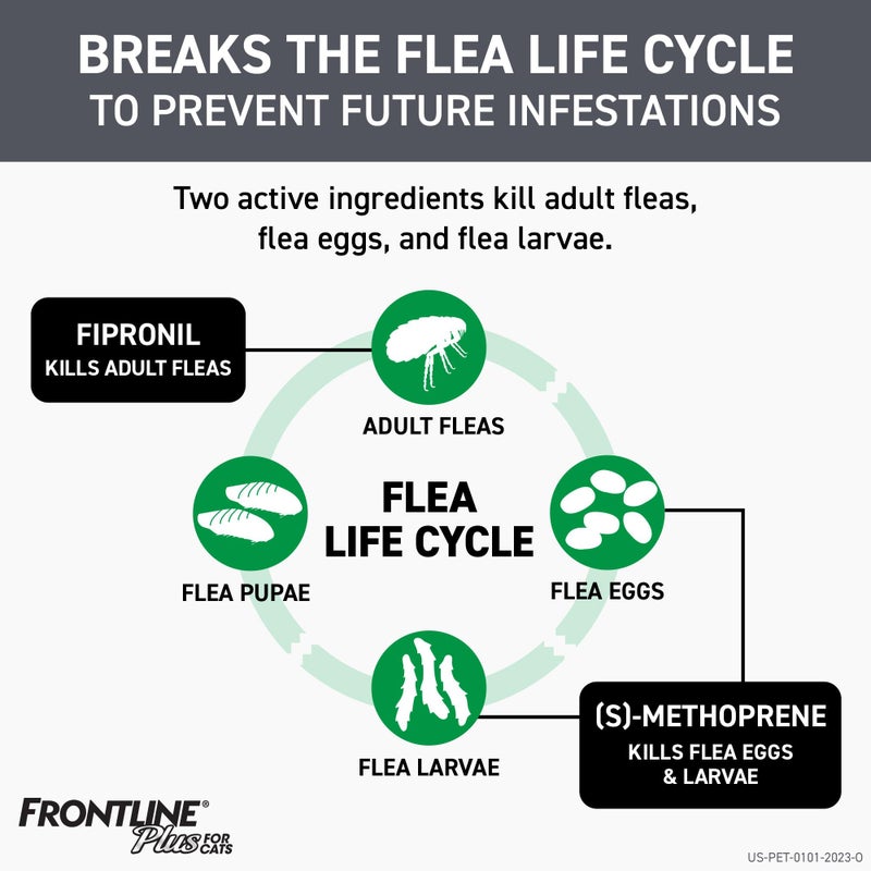 FRONTLINE Plus Flea and Tick Treatment for Cats Over 1.5 lbs. 8 Treatments - Image 3