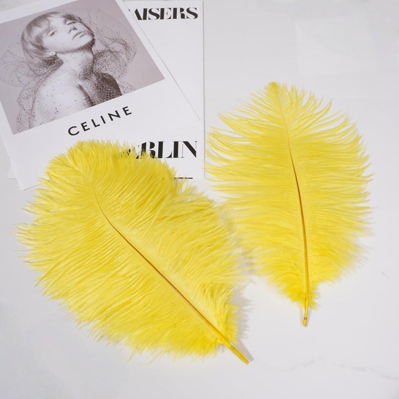 Shekyeon Yellow 10-12inch 25-30cm Ostrich Feather Home Decoration DIY Craft Pack of 10 - Image 5