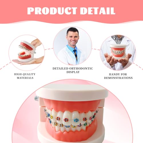 Ceonam Dental Orthodontic Teeth Model with Colorful Braces, Professional Denture Mouth Model Demonstration Study Tool for Dentistry Students and Orthodontists, Tooth Teaching Equipment with Bracket Supplies - Image 3