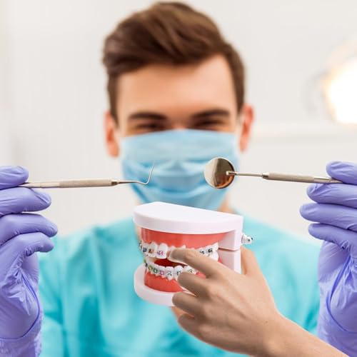 Ceonam Dental Orthodontic Teeth Model with Colorful Braces, Professional Denture Mouth Model Demonstration Study Tool for Dentistry Students and Orthodontists, Tooth Teaching Equipment with Bracket Supplies - Image 5