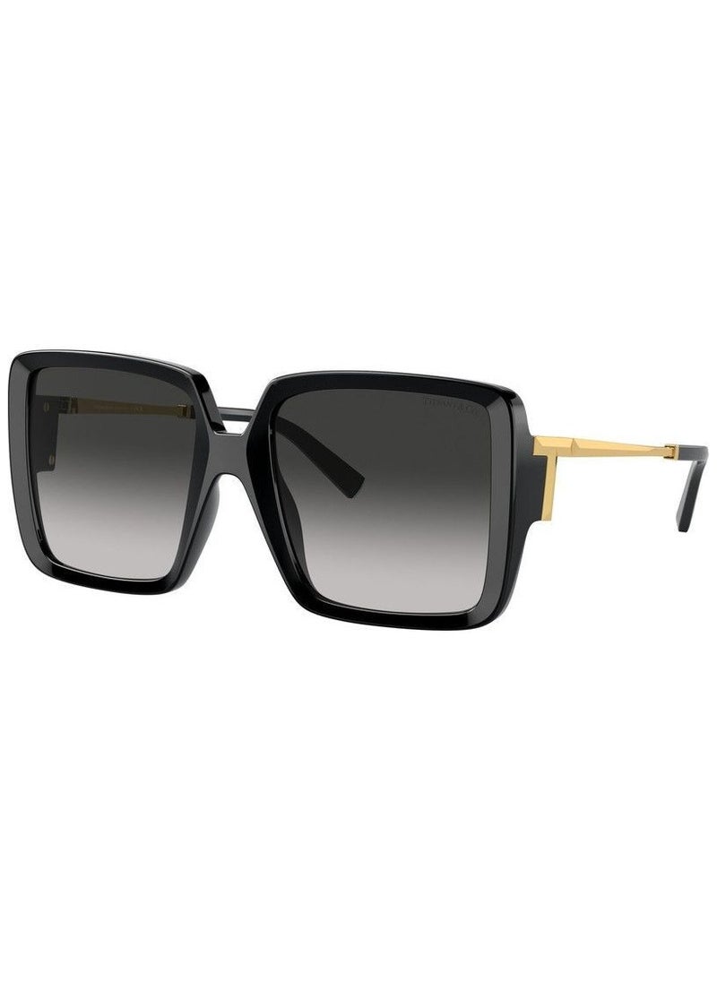 Tiffany Tiffany Square TF4212U 8001/3C 55 Women's Sunglasses  - Image 1