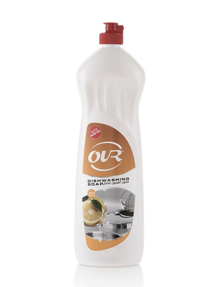 Dishwashing Liquid 1 Liter