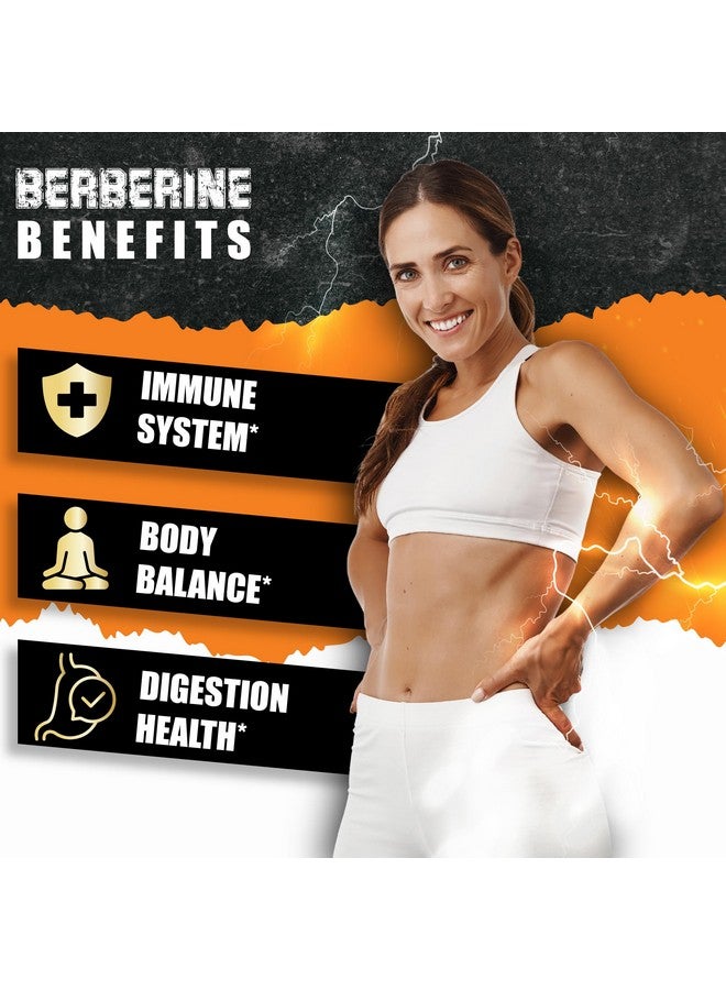 BMVINVOL Berberine HCl Supplement, Ceylon Cinnamon and Turmeric Capsules, Green Tea and Bitter Melon Capsules - 120 Capsules for 2 Month Supply - Image 5