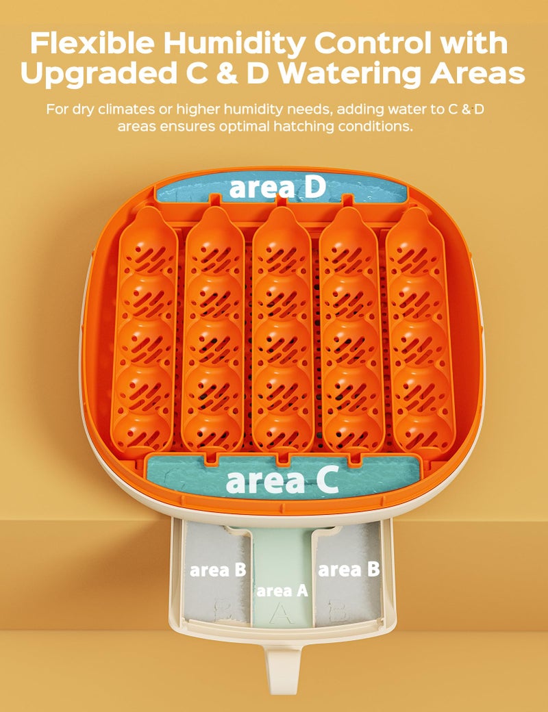 Chickcozy 25 Egg Incubator, Automatic Egg Turner with Thermometer Seat and Humidity Control, Egg Candler, 360Â° View with Clear Window, Incubators for Hatching Chicks (Sunlit Orange) - Image 3