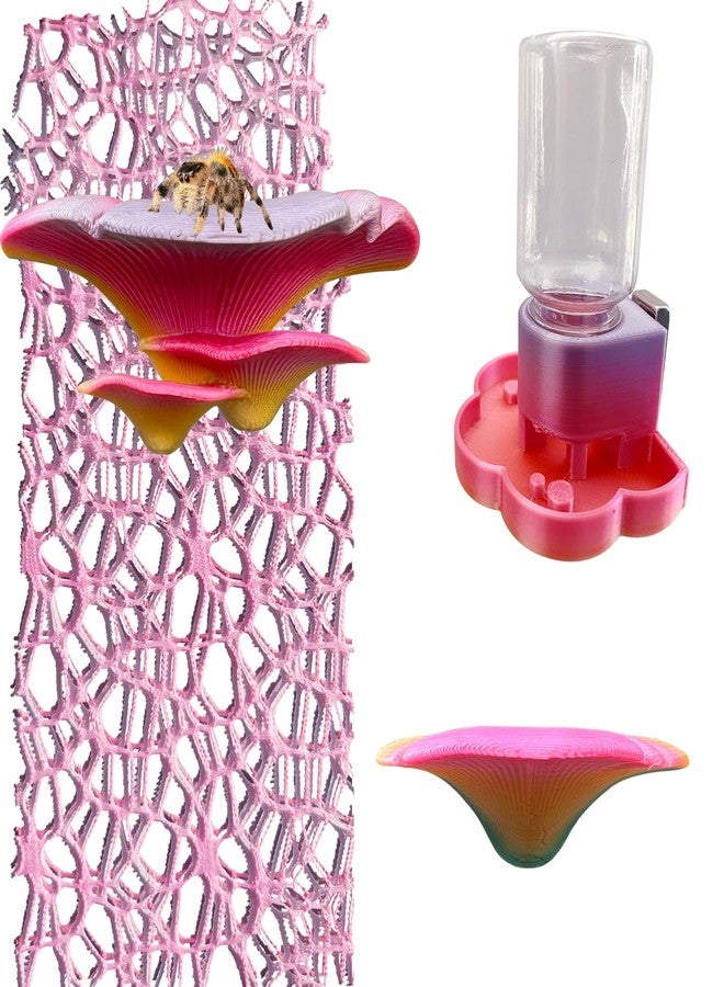 Okueejur 5Pcs Jumping Spider Accessories Set, Jumping Spider Enclosure Mushroom And Water Dispenser, Jumping Spider Web with Magnets, Jumping Spider Enclosure Climbing and Feeding Platforms (pink+purple) - Image 1