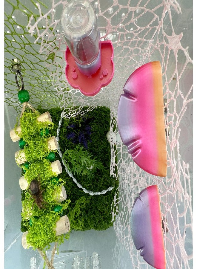 Okueejur 5Pcs Jumping Spider Accessories Set, Jumping Spider Enclosure Mushroom And Water Dispenser, Jumping Spider Web with Magnets, Jumping Spider Enclosure Climbing and Feeding Platforms (pink+purple) - Image 4