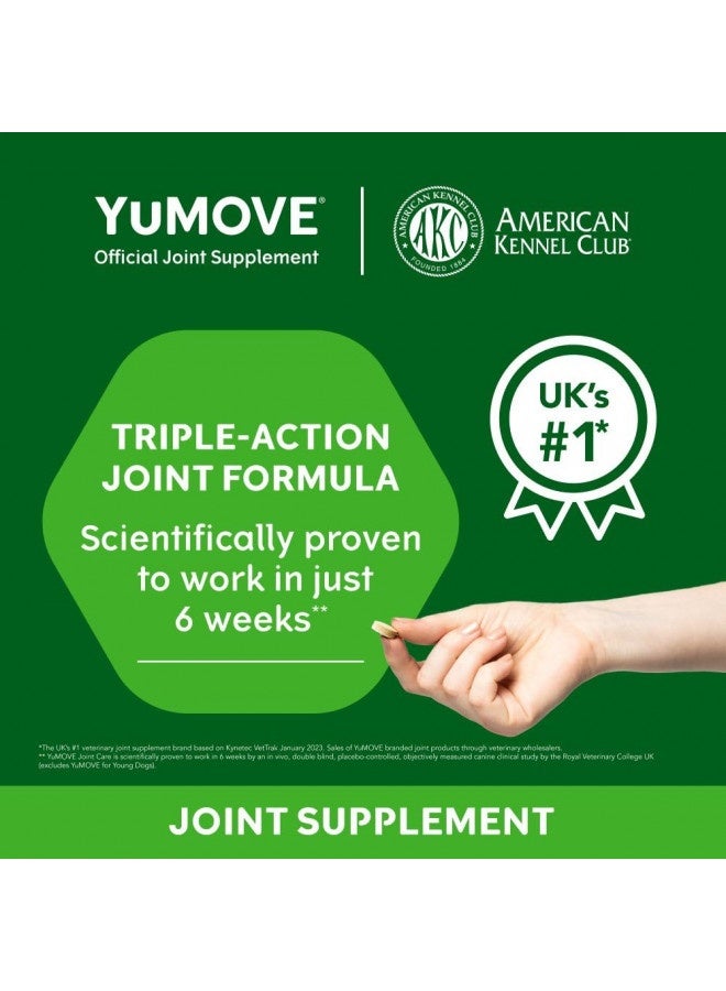 Lintbells Yumove Adult Dog Tablets | Hip And Joint Supplement For Dogs With Glucosamine, Chondroitin, Hyaluronic Acid, Green Lipped Mussel | Dogs Aged 6 To 8 | 120 Count Tablets, Treat Colored  - Image 2