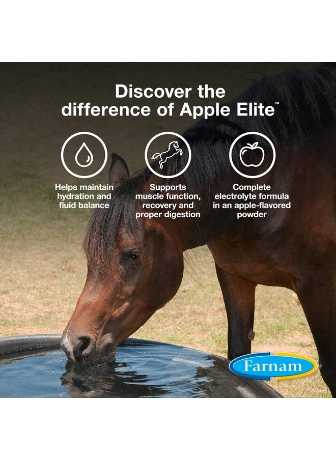 Farnam - Apple Elite Horse Electrolyte Powder, Replaces Minerals Lost In Sweat During Exercise, Extreme Weather & Stressful Conditions, 5 Lb., 40 Day Supply - Image 1