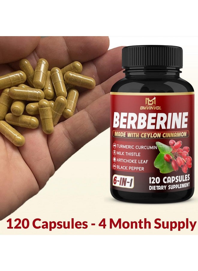 BMVINVOL Berberine, Ceylon Cinnamon, Turmeric, Milk Thistle, Artichoke, Black Pepper - 120 Capsules for Digestion, Immunity [4-Month Supply] - Image 3