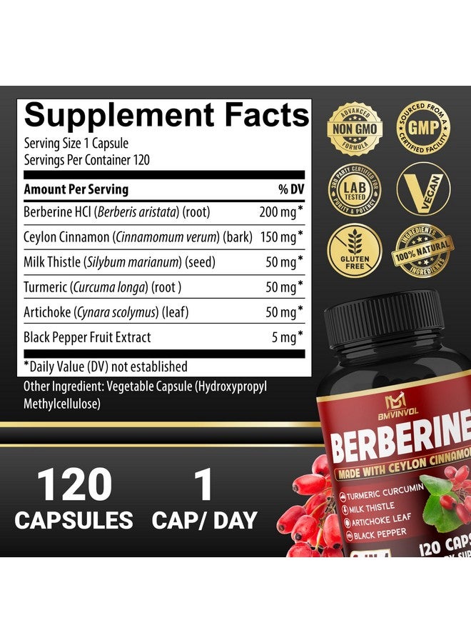 BMVINVOL Berberine, Ceylon Cinnamon, Turmeric, Milk Thistle, Artichoke, Black Pepper - 120 Capsules for Digestion, Immunity [4-Month Supply] - Image 2