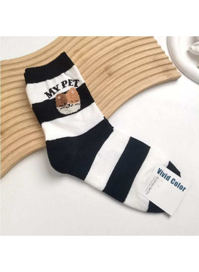 ناما مجموعه شرابات مكونه من 12 شراب حريمي مقاس واحد موحد - Image 3