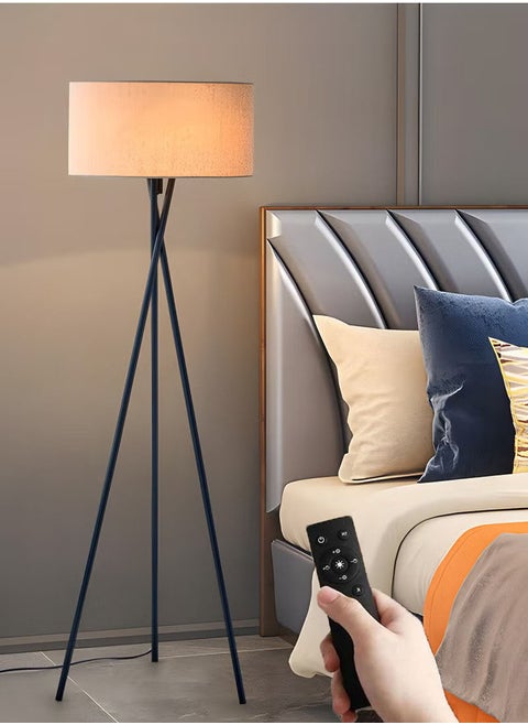 Creative Triangle Floor Lamp Black, LED Floor Lamp, Suitable for Study, Bedroom, Living Room Black 42x42160