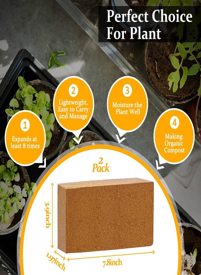 Riare Organic Coco Coir Bricks- 100% Natural Compressed Coco Brick Coconut Fiber Substrate High Expansion Coco Coir Pith Coconut Husk for Garden (2) - Image 2