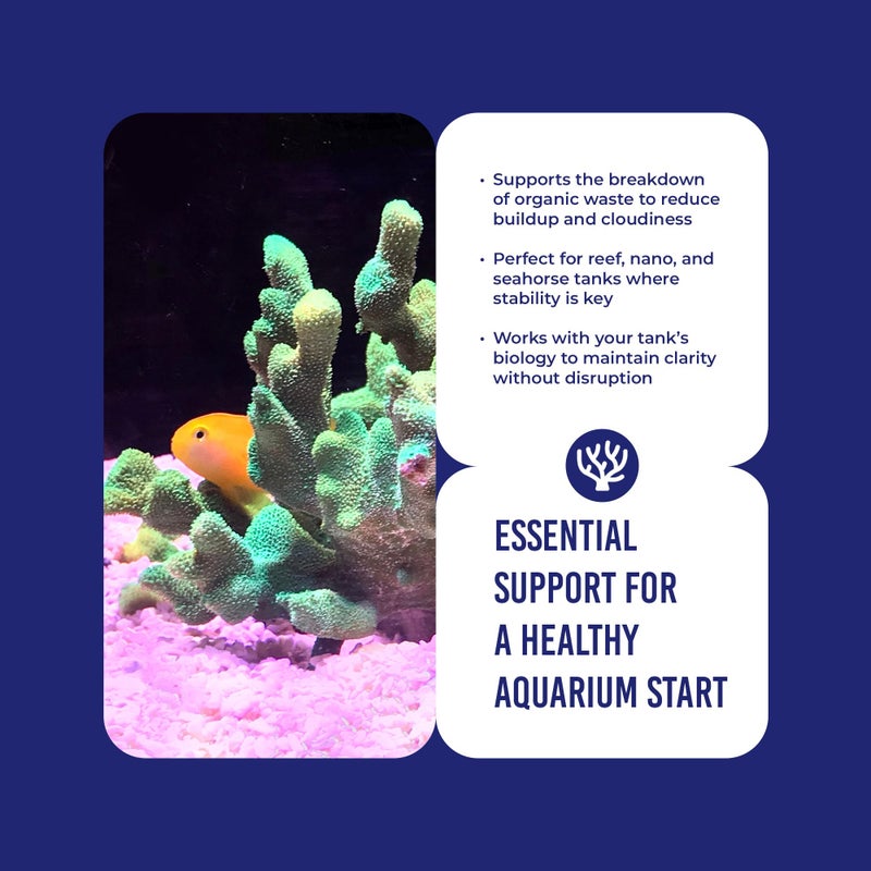 DrTim's Aquatics Dr.Timâ€™s Aquatics Waste-Away Natural Aquarium Cleaner â€“ 4 oz â€“ Sludge Busting Formula for Saltwater & Freshwater Tanks â€“ Improves Circulation, Breaks Down Hidden Organic Waste - Image 3