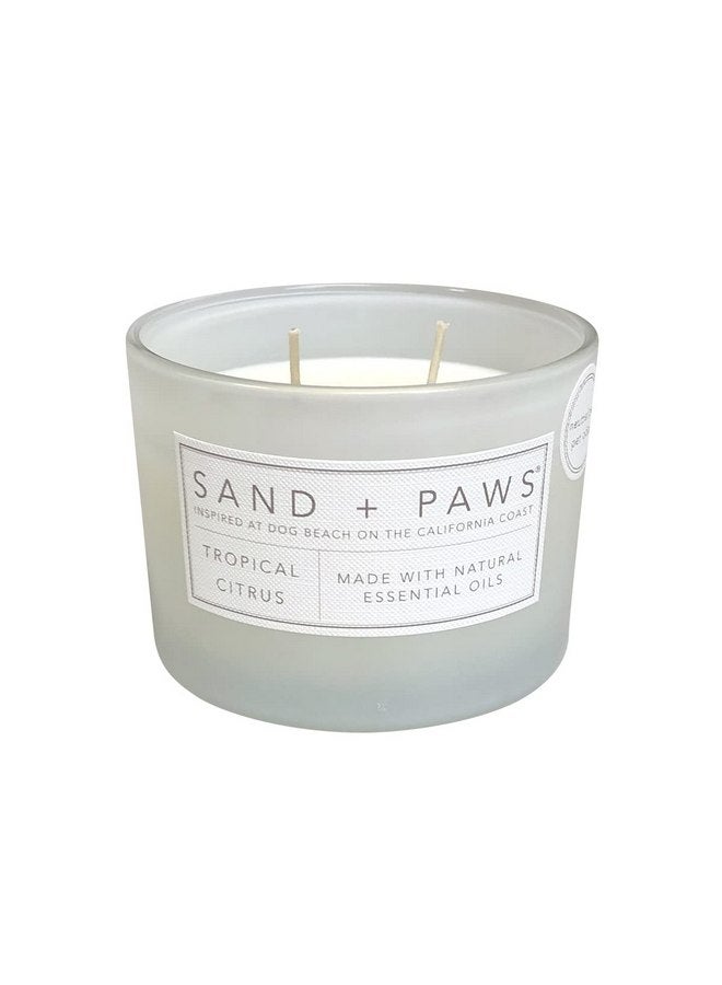 Sand + Fog Sand + Paws Scented Candle - Tropical Citrus - Additional Scents and Sizes -Luxurious Air Freshening Jar Candles Neutralize pet Odors and Enhance Home décor - 100% Cotton Lead-Free Wicks - 12 oz - Image 1