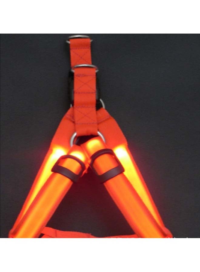 NIBEMINENT Nylon Leash For Dog Red/Black 38-50cm - Image 2