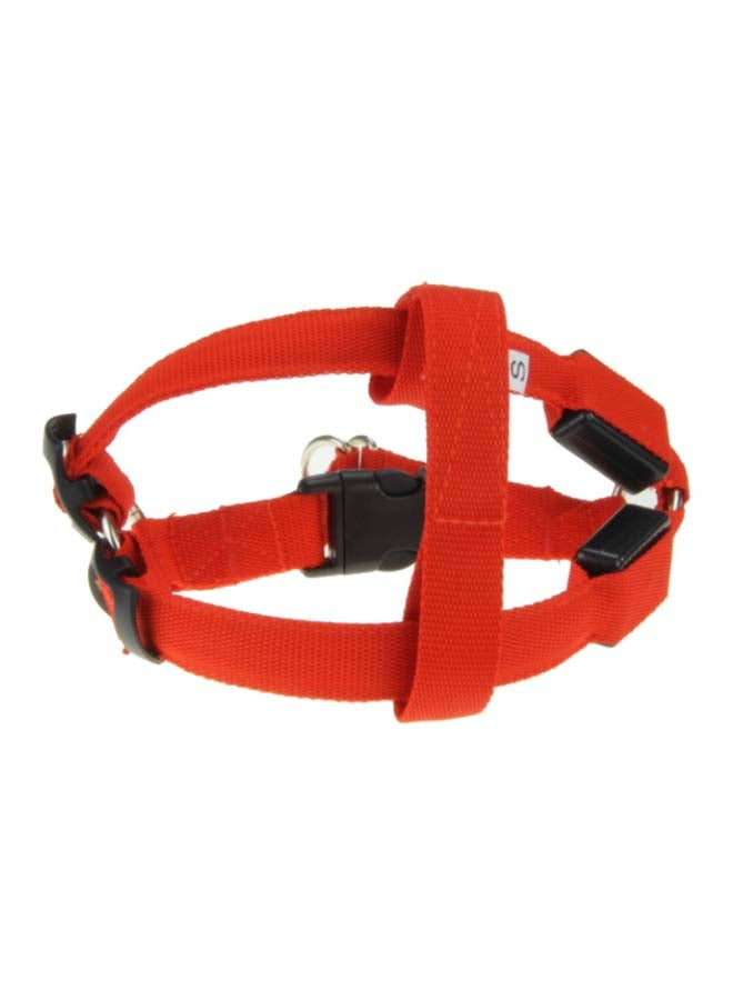 NIBEMINENT Nylon Leash For Dog Red/Black 38-50cm - Image 1