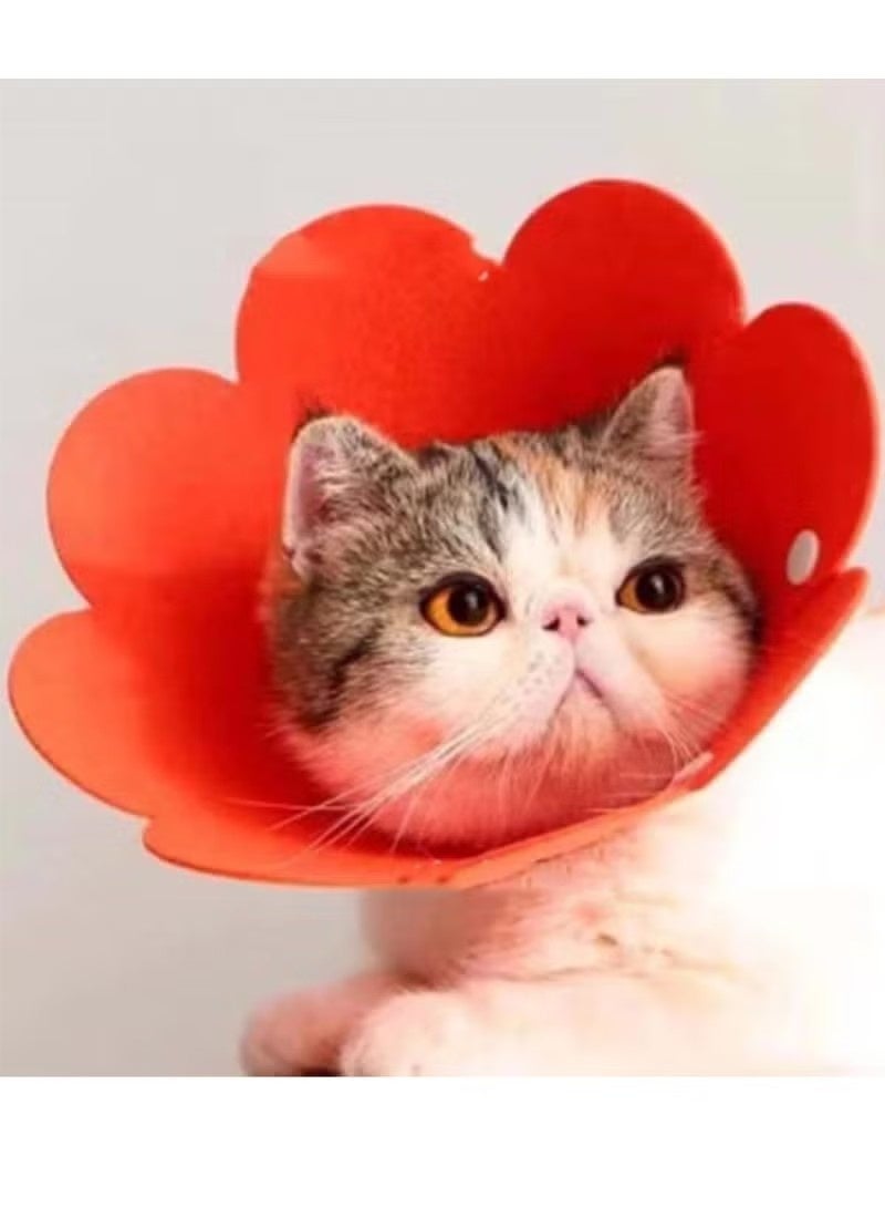 طوق إليزابيث للتعافي للقطط والكلاب، مخروط زهرة ناعم قابل للتعديل لحماية الجروح، طوق خفيف الوزن للحيوانات الأليفة مزود بتصميم زر ضغط - Image 3