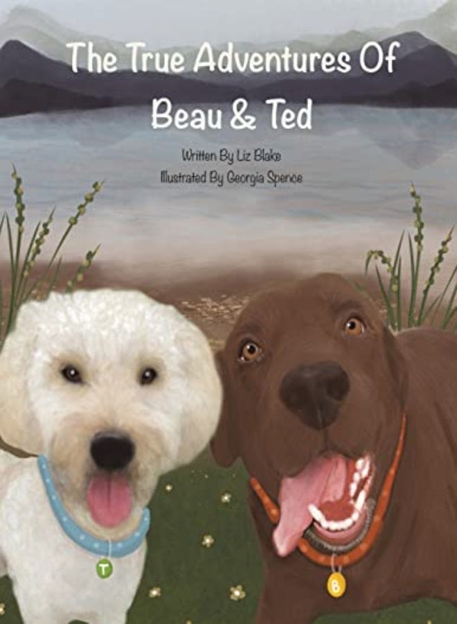 The True Adventures of Beau and Ted 