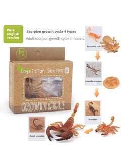 Realistic Simulation Animal Plant Models Toy Collection - Dinosaurs Dragons Unicorns Mermaids Sharks More-Color:PL127-2449 Scorpion Growth Cycle + English Card + Color Box