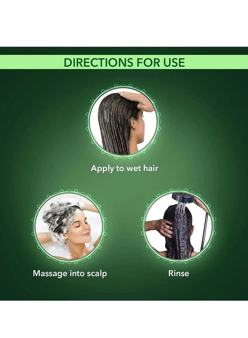 كيش كينج شامبو مضاد لتساقط الشعر و لإصلاح الأضرار ببروتين الحليب و21 عشبة 200 مل - Image 3