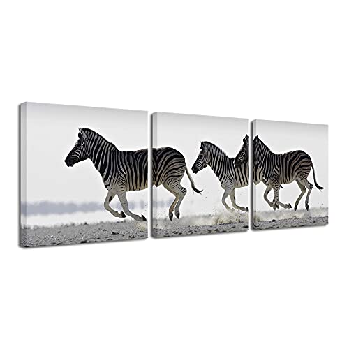 Pyradecor Zebra Canvas Prints Wall Art Black and White Animals Pictures Paintings for Living Room Bedroom Bathroom Home Decorations 3 Piece Modern Stretched Horse Artwork - Image 1