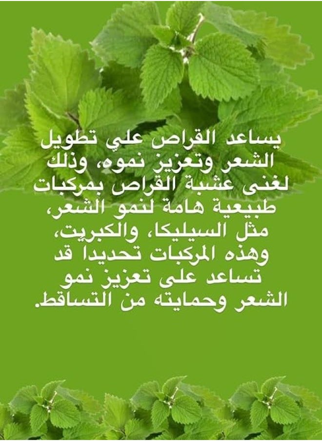 BIOBLAS - Bioblas Nettle Oil Shampoo 400 ml - Image 1
