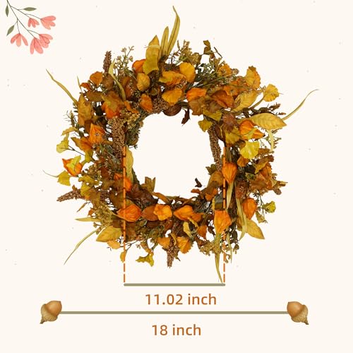 YNYLCHMX 18 Fall Wreaths for Front Door Artificial Autumn Wreath with Cape Gooseberry and Ginkgo Leaves for Home Porch Window Wall Farmhouse Decor Indoor Outdoor Holiday Decor - Image 3