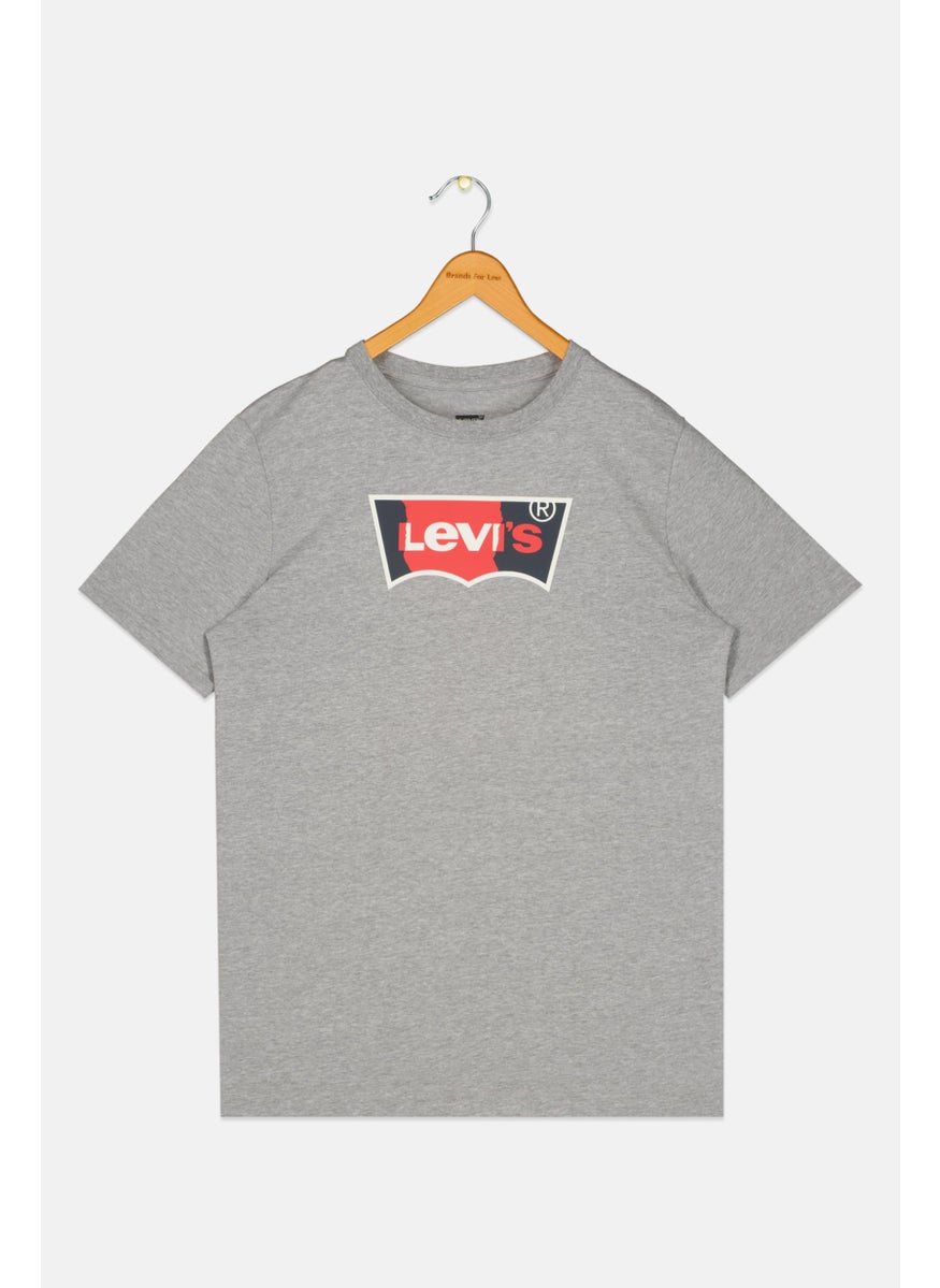 Levi's - Kids Boy Brand Logo T-Shirt, Grey - Image 1