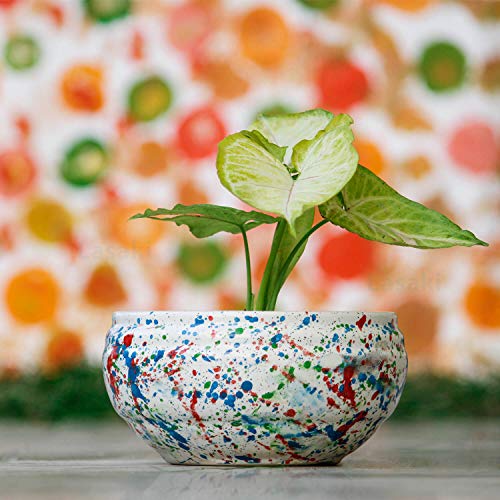 Lasaki Bowl Small Multi Ceramic Pot Planter with Drain Holes | Decorative Balcony, Home & Office Succulent Gamla (D-15 X H-8 Cm) (Plants Not Included) - Image 1