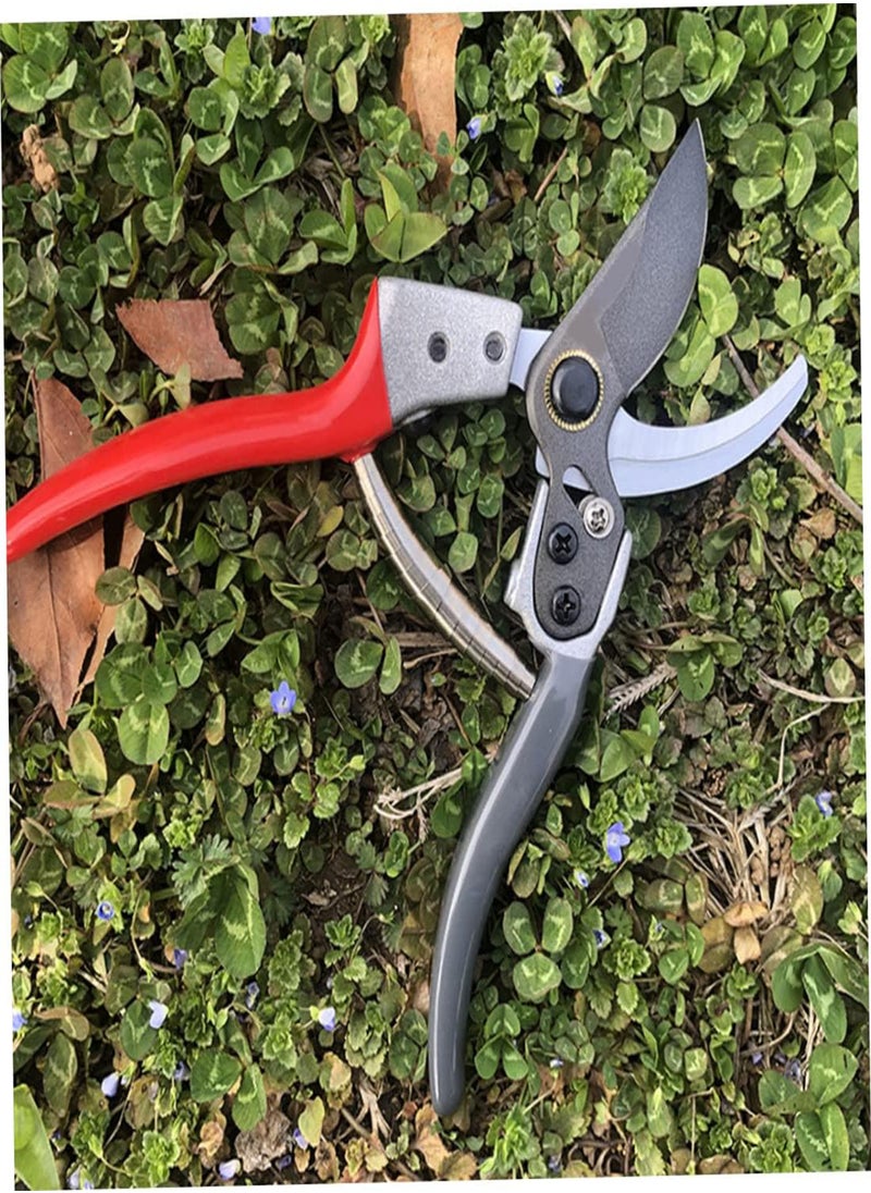 GGOOT - Volute Secateur Springs Steel Pruner Replacement Spring Replacement Volute Spring Stainless Steel Garden Pruning Shears Spring Parts Gardening Tool Accessories 5pcs - Image 1