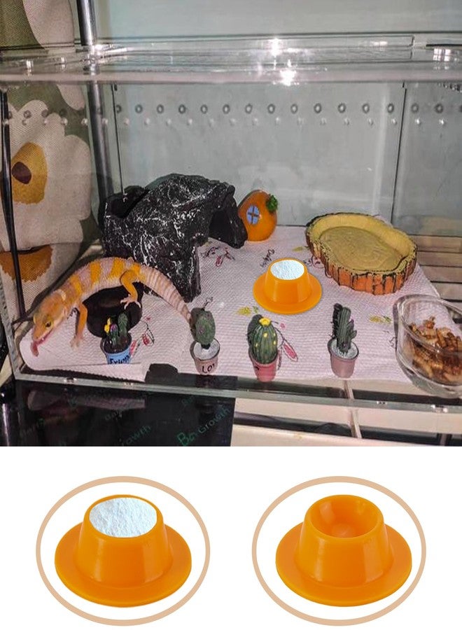 عبوة من قطعتين من أطباق طعام أبو بريص النمر، أطباق كالسيوم لأبو بريص، أوعية طعام وماء للزواحف، أوعية كالسيوم للتنين الملتحي، السحلية، السلحفاة، أبو بريص، العنكبوت القافز - Image 3