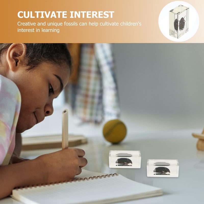 klarako 2 pcs Specimen Biological Animal Specimen Science Education Toys Amber Specimen Pendant Spider Specimen Crystal Pendant Delicate Crystal Samples Resin Fossil Tool Office - Image 5