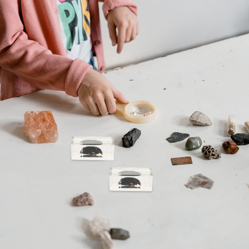 klarako 2 pcs Specimen Biological Animal Specimen Science Education Toys Amber Specimen Pendant Spider Specimen Crystal Pendant Delicate Crystal Samples Resin Fossil Tool Office - Image 3