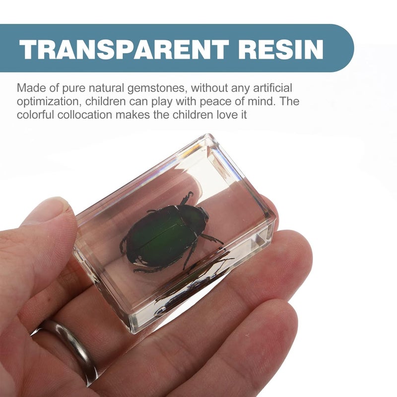 klarako 2 pcs Specimen Biological Animal Specimen Science Education Toys Amber Specimen Pendant Spider Specimen Crystal Pendant Delicate Crystal Samples Resin Fossil Tool Office - Image 2