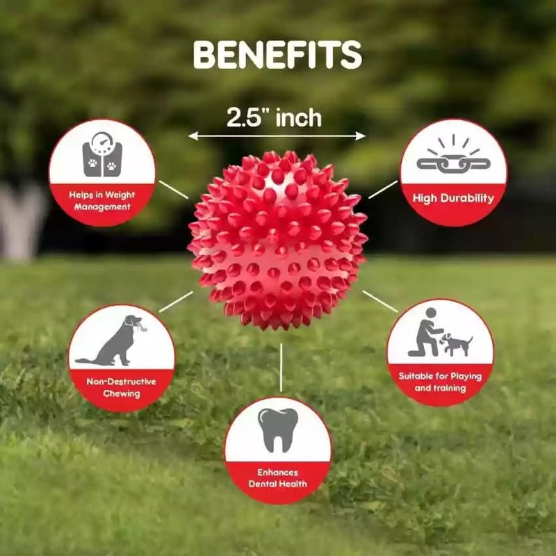 swacch Shampoo | Puppy Safe Shampoo | PH Balanced | Ditch to Itch for Rottweiler Dog Shampoo 500ml Pack of 2 (Strawberry) + Spike Ball Chew Toy Combo Pack - Image 4