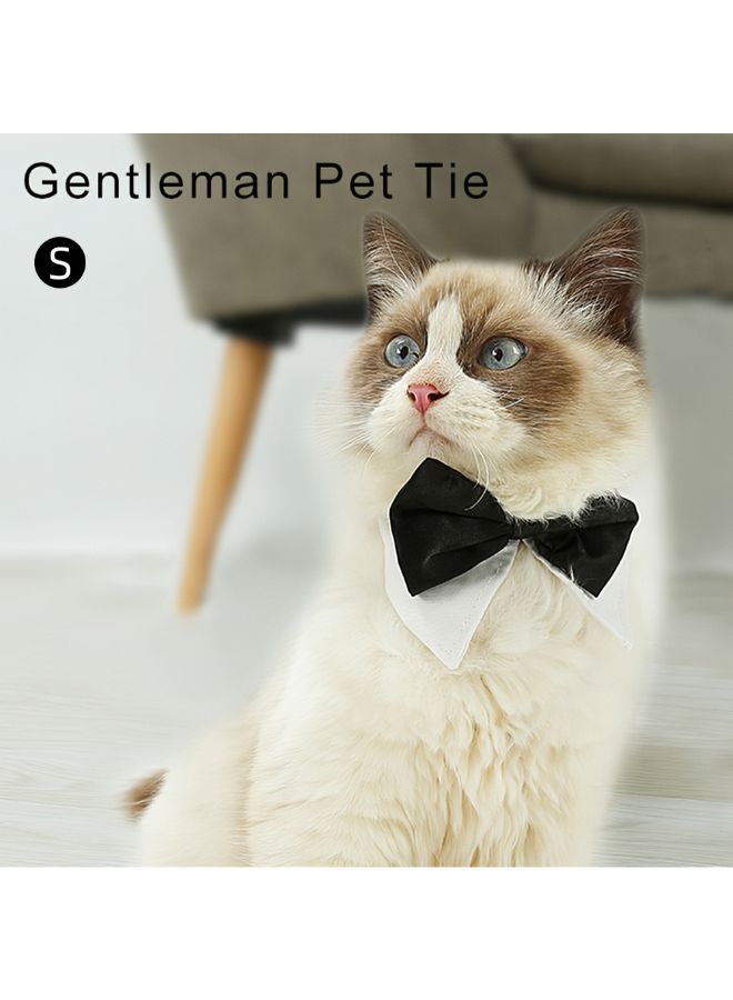 Loquat Dog Bow Tie Black/White 10.00 x 1.20 x 6.00centimeter - Image 4