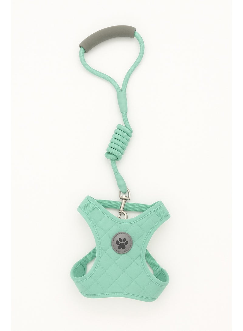 حزام مبطن ناعم للحيوانات الأليفة مع مقود مطابق، مقاس متوسط ​​للحيوانات الأليفة التي يتراوح وزنها بين 2 و 4 كيلوغرامات. - Image 3