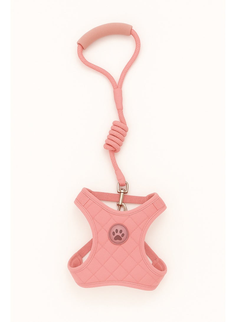 حزام مبطن ناعم للحيوانات الأليفة مع مقود مطابق، مقاس متوسط ​​للحيوانات الأليفة التي يتراوح وزنها بين 2 و 4 كيلوغرامات. - Image 2