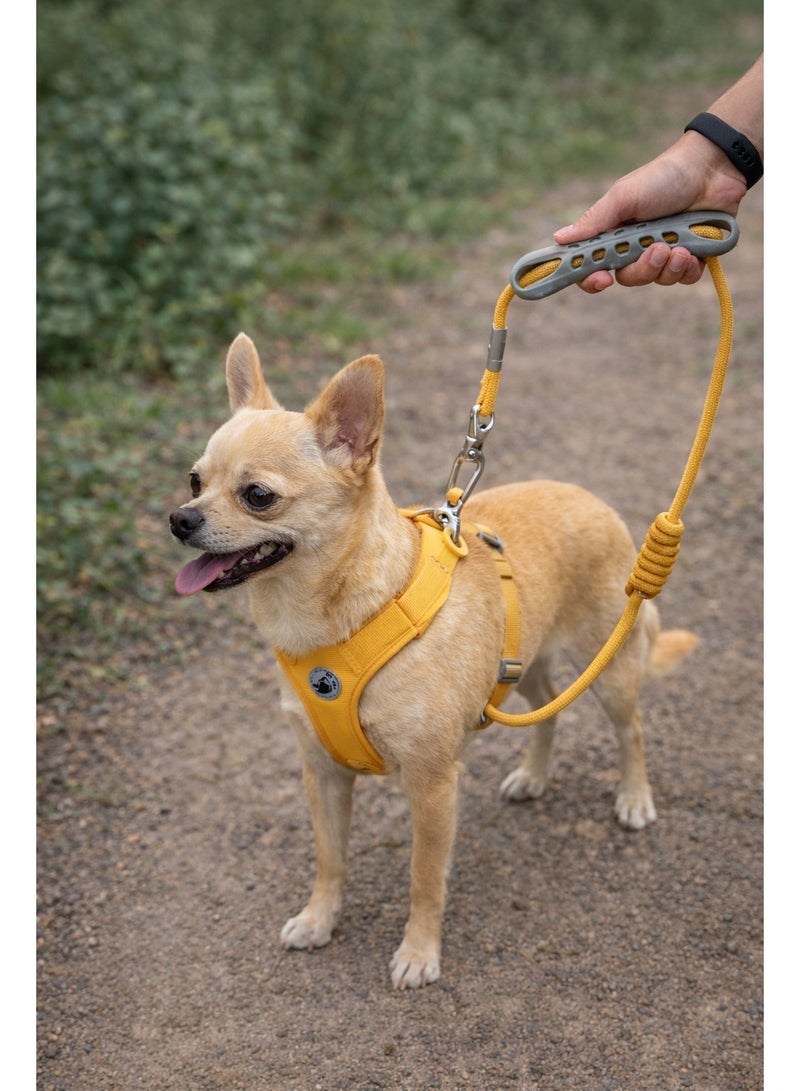 حزام مبطن ناعم للحيوانات الأليفة مع مقود مطابق، مقاس متوسط ​​للحيوانات الأليفة التي يتراوح وزنها بين 2 و 4 كيلوغرامات. - Image 1