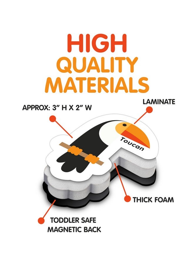 كيوريس كولومبوس مجموعة من 78 قطعة مغناطيسية إسفنجية من "كوريوز كولومبوس" تتضمن 52 صورة و26 حرفًا كبيرًا من الأبجدية من أريزونا. أفضل لعبة تعليمية لمرحلة ما قبل المدرسة. - Image 5