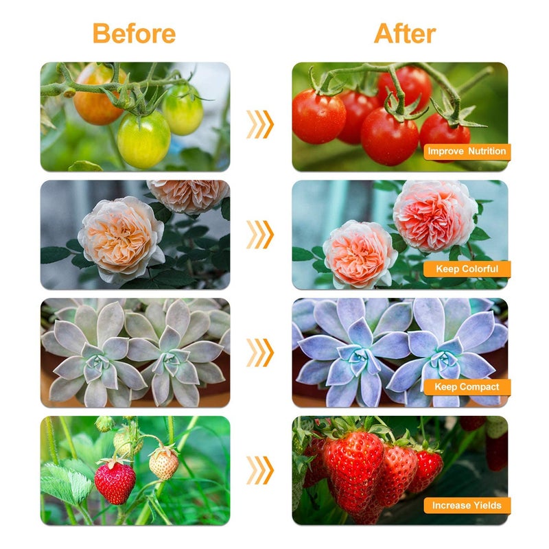 bseah Grow Light Plant Lights for Indoor Plants, Full Spectrum Plant Grow Lamp, 10 Dimmable Levels, ON & Off with 3/9/12H Timer Manually Set Daily - Image 5