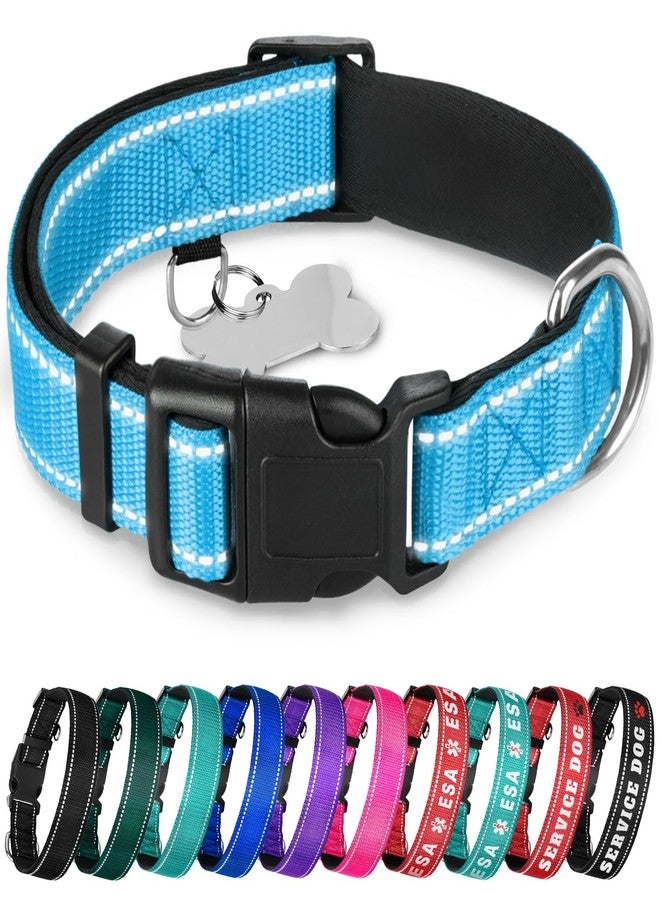 TECEUM Reflective Dog Collar - Sky Blue - XL - Extra Soft Padding - Basic Nylon Pet Collar - Quick Release Buckle - Fits Small, Medium and Large Dogs, Puppies, Cats - ESA & Service Dog Options - Image 1