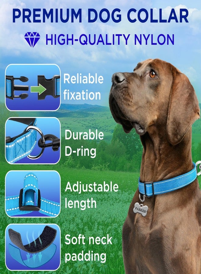 TECEUM Reflective Dog Collar - Sky Blue - XL - Extra Soft Padding - Basic Nylon Pet Collar - Quick Release Buckle - Fits Small, Medium and Large Dogs, Puppies, Cats - ESA & Service Dog Options - Image 2