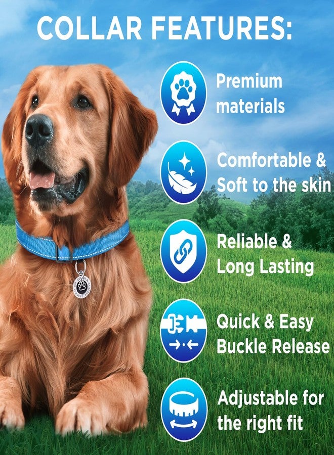 TECEUM Reflective Dog Collar - Sky Blue - XL - Extra Soft Padding - Basic Nylon Pet Collar - Quick Release Buckle - Fits Small, Medium and Large Dogs, Puppies, Cats - ESA & Service Dog Options - Image 3